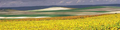 thalasso champagne ardenne cure thermale champagne ardenne